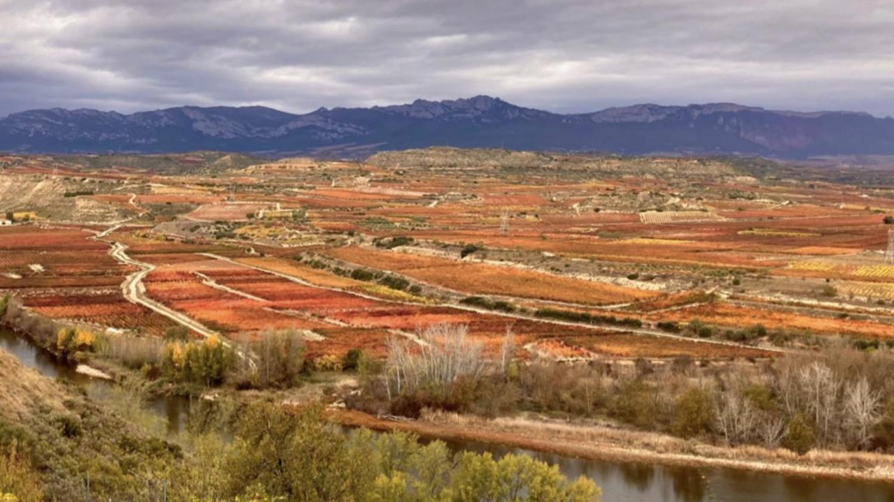 Appartamento La Pilarcita Centro Fuenmayor Esterno foto